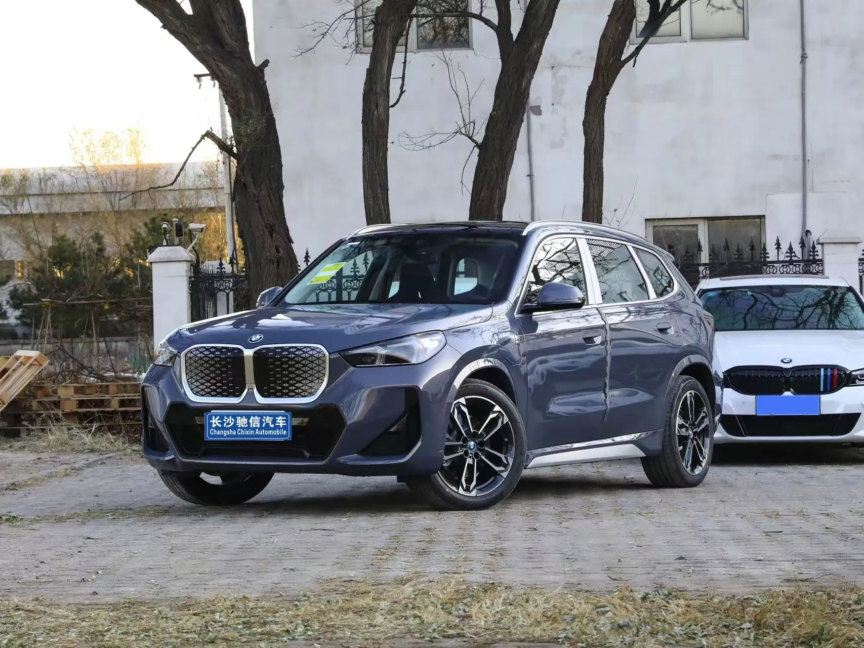 BMW IX1